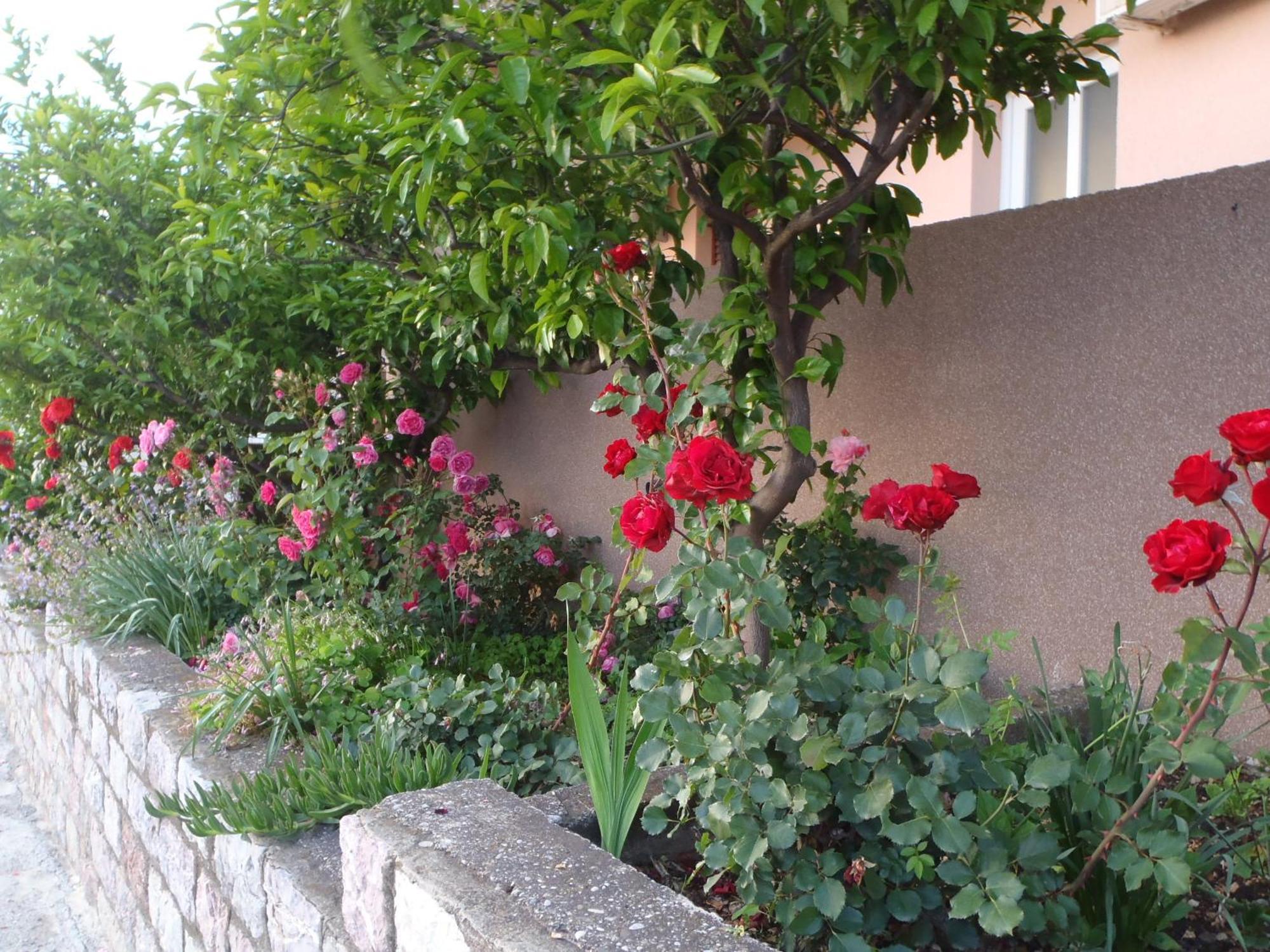 Apartments Durasevic Sveti Stefan Dış mekan fotoğraf